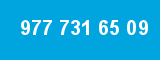 977 731 65 09